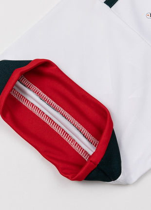 Mexico Away Soccer Jersey World Cup 2026