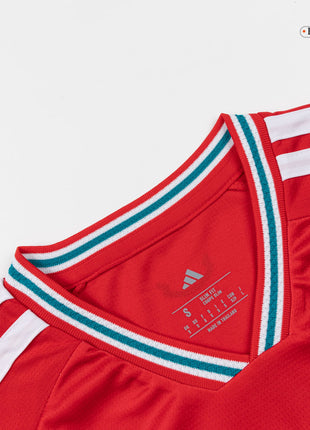 Wales Home Soccer Jersey World Cup 2026
