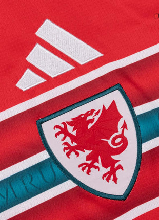 Wales Home Soccer Jersey World Cup 2026