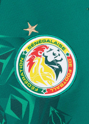 Senegal Away Soccer Jersey World Cup 2026