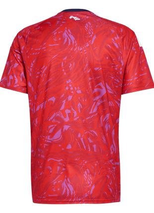 Costa Rica Home Soccer Jersey World Cup 2026