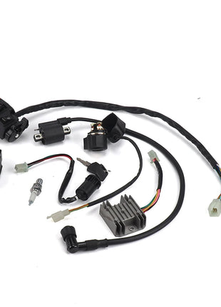 Full Wiring Harness Loom Ignition Coil CDI For 150cc 200cc 250cc 300cc Zongshen Lifan ATV Quad Buggy Electric Start AC Engine