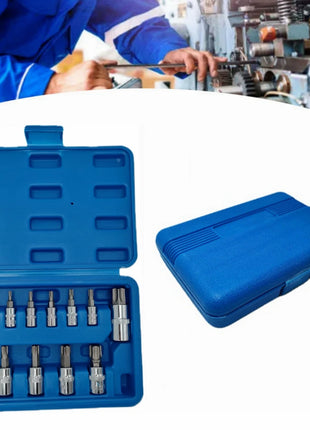 13pcs Torx Bit Socket Set, CRV Sockets, S2 Steel Bits, 1/4-inch (T8-T30), 3/8-inch (T40-T60) & 1/2-inch (T70) Drive, with case