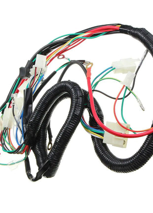 Motorcycle Ignition CDI Wire Harness Assembly Electric Starter Plug Control Switch 125cc 150cc 200cc 250cc Dirt Bike ATV Quad