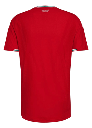 Wales Home Soccer Jersey World Cup 2026