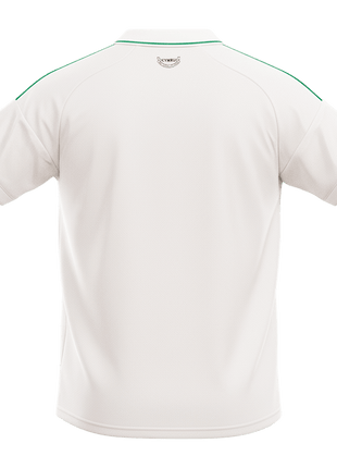 Wales Away Soccer Jersey World Cup 2026