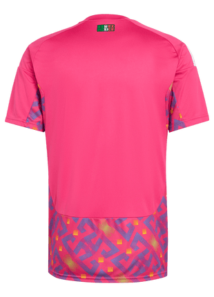 Mexico Goalkeeper Soccer Jersey World Cup 2026 Pink