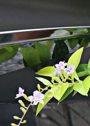 For Lexus RX350 450h 2020-2022 Chrome Rear Bumper Both Side Lip Molding Cover 2x